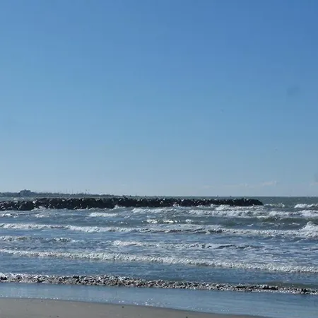 Apartment Avec Piscine, Parking Et Terrasse A Port Camargue - Fr-1-307-262 Le Grau-du-Roi