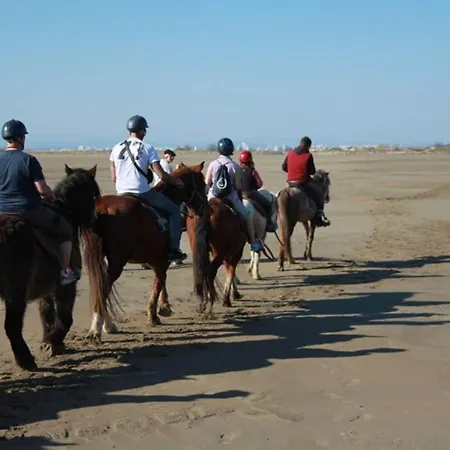 Avec Piscine, Parking Et Terrasse A Port Camargue - Fr-1-307-262