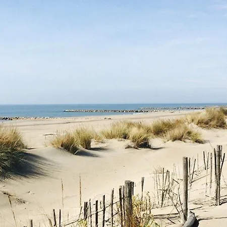 Avec Piscine, Parking Et Terrasse A Port Camargue - Fr-1-307-262