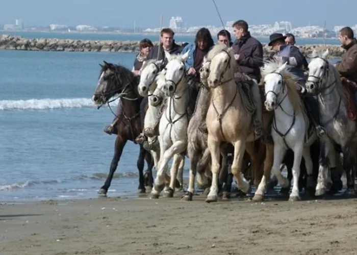 Avec Piscine, Parking Et Terrasse A Port Camargue - Fr-1-307-262 Lägenhet