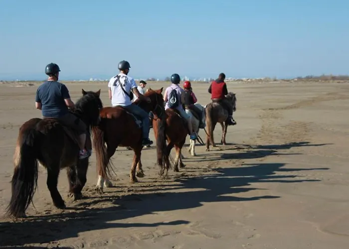 Avec Piscine, Parking Et Terrasse A Port Camargue - Fr-1-307-262