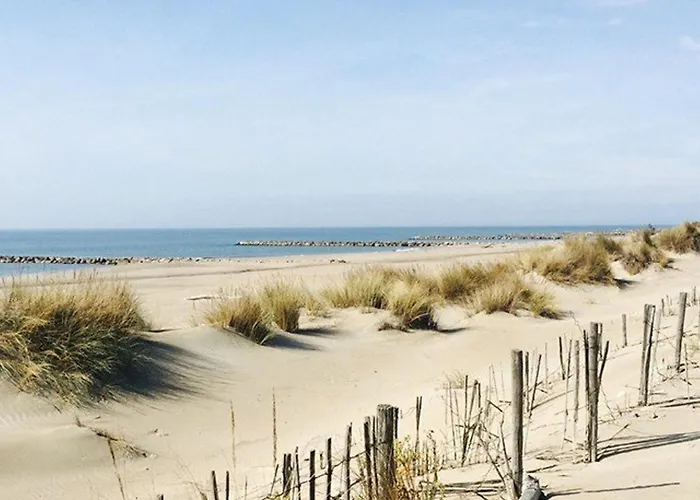 Avec Piscine, Parking Et Terrasse A Port Camargue - Fr-1-307-262